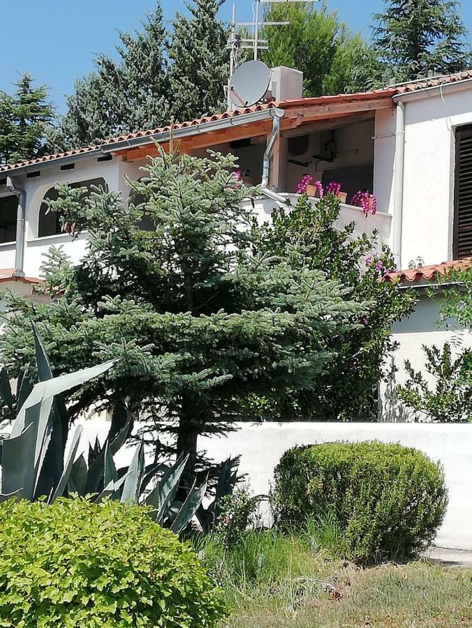 Apartment Enis بارباريغا المظهر الخارجي الصورة